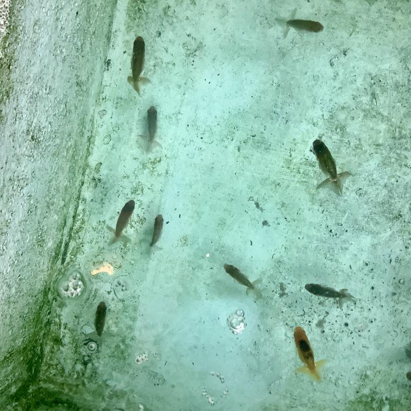 ��񂿂イ�@����