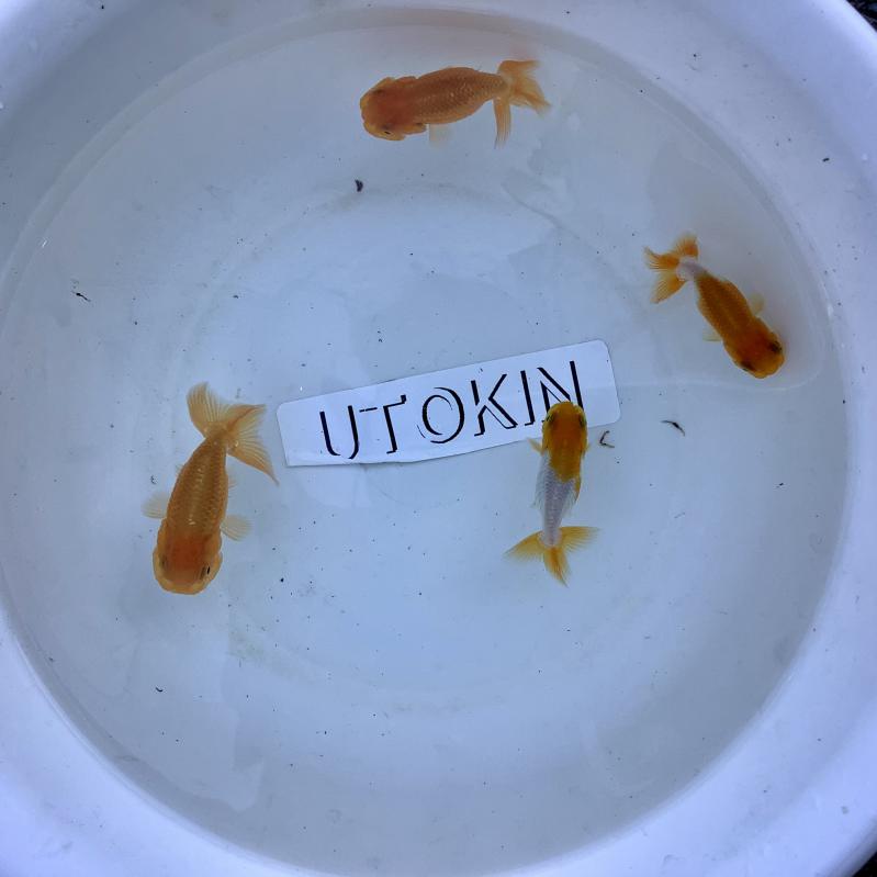 �F��n��񂿂イ