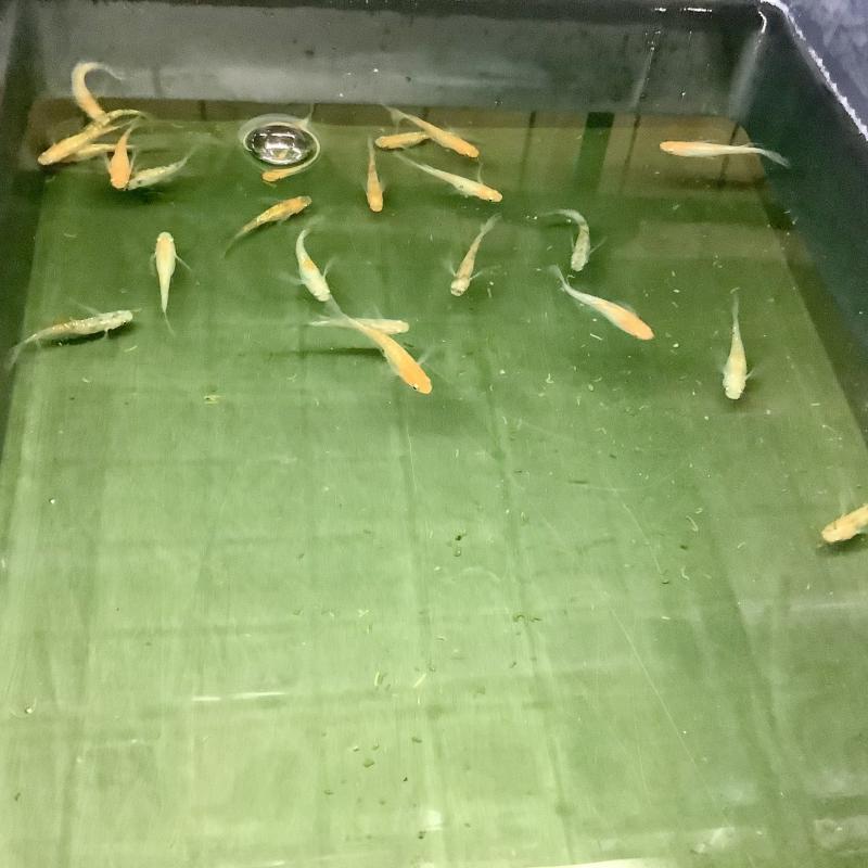 ����q�����O�F�������_�J