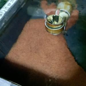 �{���C�g�~�~�Y���ׂ��܂���