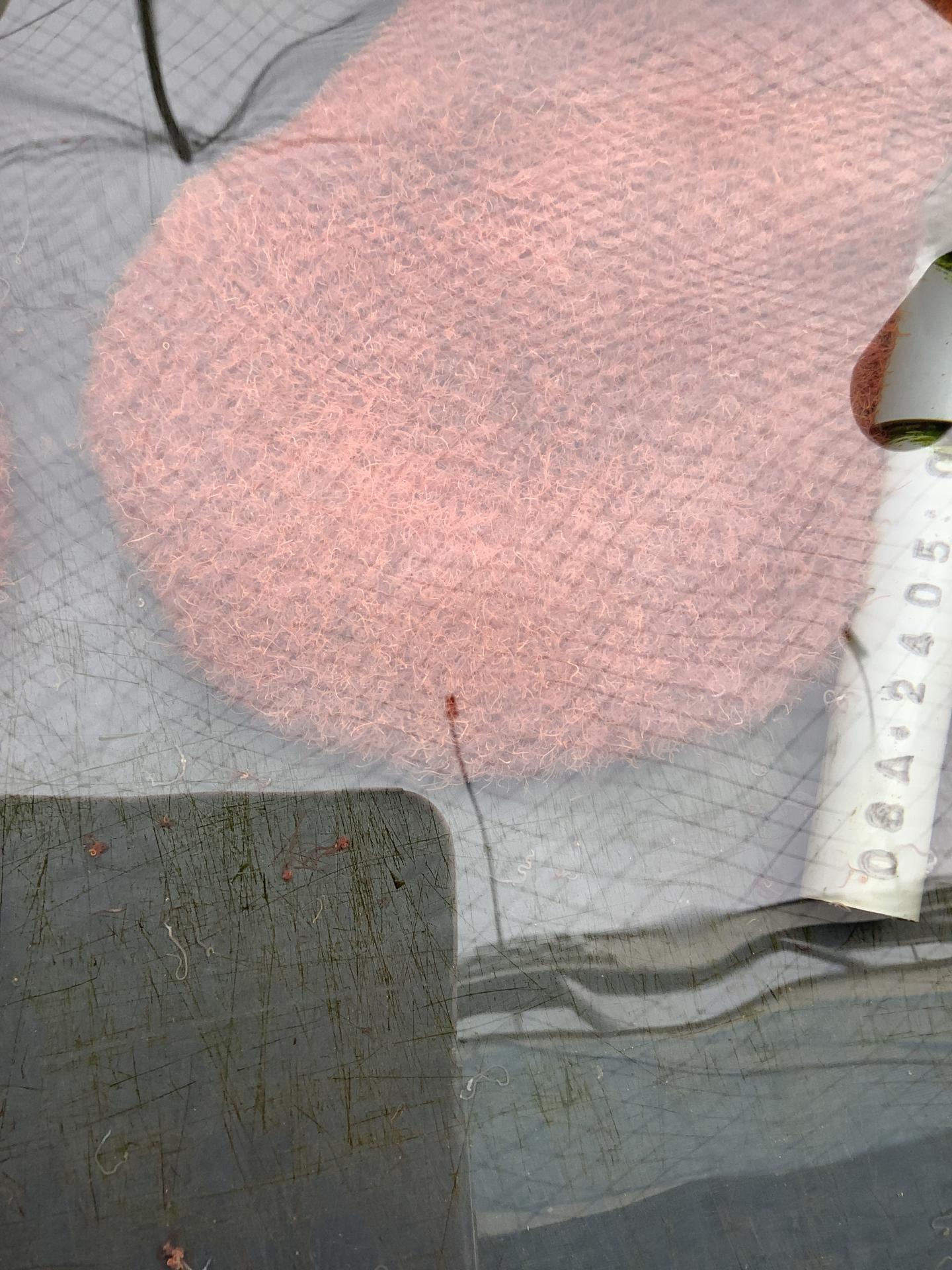 ���T�̓��ׁ@�����@3�i��@�M�ы���ʕi��@�C�g�~�~�Y