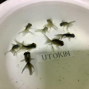 ������獡���̓��ׁ@�ь�@�����@5�i��@���_�J1�i��
